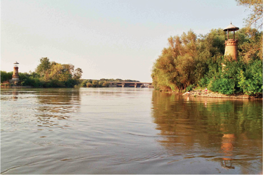 Ušće Tamiša u Dunav